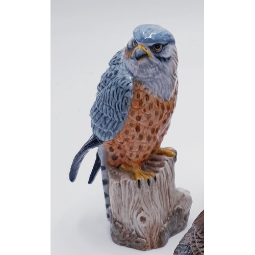 479 - MACK CHINA  (Staffordshire , England) 13.5cm x 7.5cm MODEL OF A MERLIN Signed By R.J. Mack