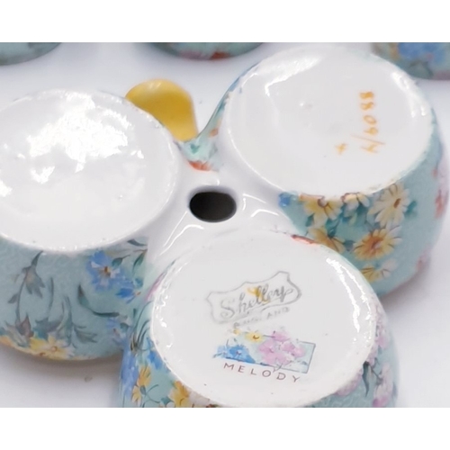 495 - SHELLEY CRUET SET IN THE MELODY CHINTZ DESIGN