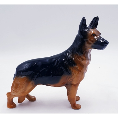 52 - ELITE POTTERY Large 20cm x 19cm MODEL OF A GERMAN SHEPHERD
(Elite Pottery Was Owned By Mr Derek Powe... 