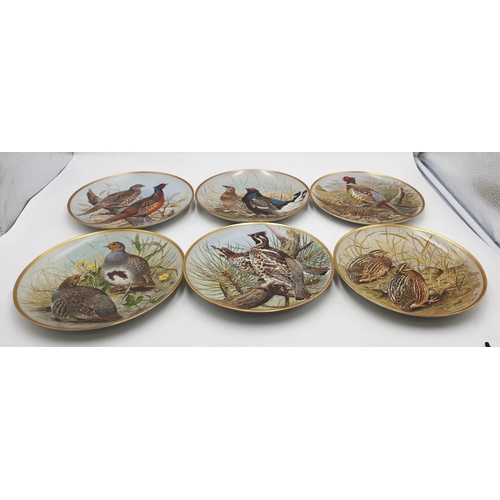 673 - FRANKLIN MINT PORCELAIN Large 23cm Dia PLATES (6) DEPICTING BIRDS All Signed