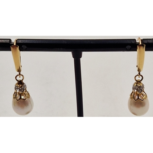 279 - 14ct GOLD / DIAMOND & PEARL EARRINGS (Fully Hallmarked 14ct On Hoops Plus 585 On Pearls) (Boxed)