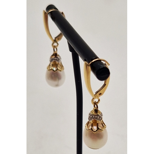 279 - 14ct GOLD / DIAMOND & PEARL EARRINGS (Fully Hallmarked 14ct On Hoops Plus 585 On Pearls) (Boxed)