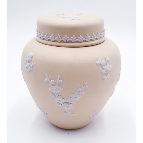 36 - WEDGWOOD PRIMROSE 13cm JASPER WARE LIDDED POT