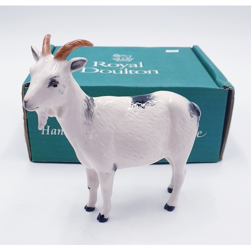 57 - ROYAL DOULTON 14cm MODEL OF 'NIGERIAN POT BELLIED PYGMY GOAT' DA 223 1993/99. (White /Black Gloss Co... 