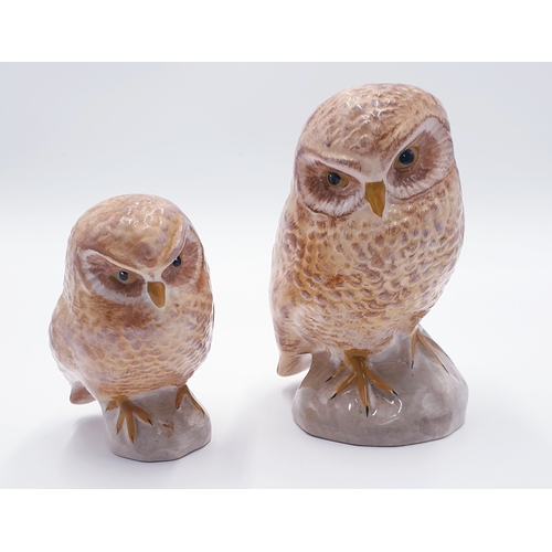 185 - CERAMIC OWLS (2) (Largest Being 17cm High)