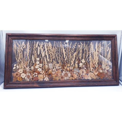 61 - FRAMED And GLAZED Extra Large 76cm x 37cm MEADOW GRASS SAMPLES.
 (Please Note This Lot WILL NOT BE P... 