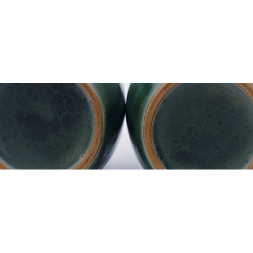 197 - DENBY WARE Large 25cm VASES (2)