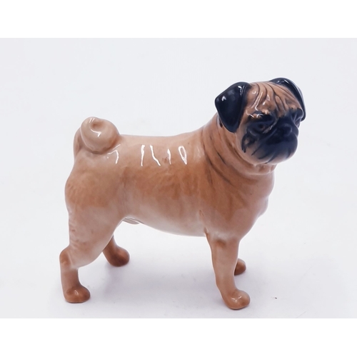 683 - BESWICK MODEL OF A PUG DOG