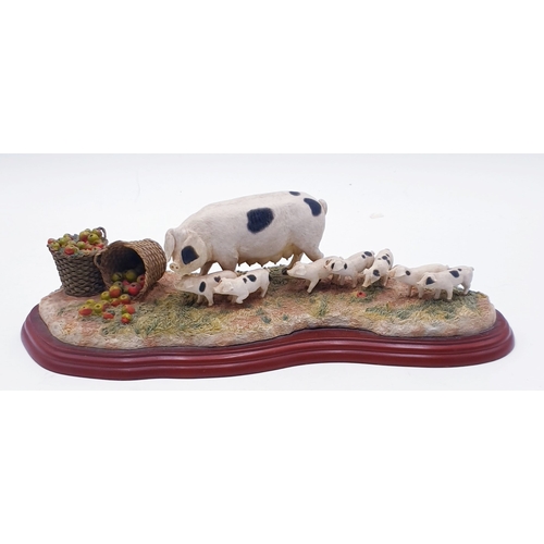 685 - BORDER FINE ARTS Extra Large 36cm x 11cm MODEL OF PIG And PIGLETS (Model No A1223) 