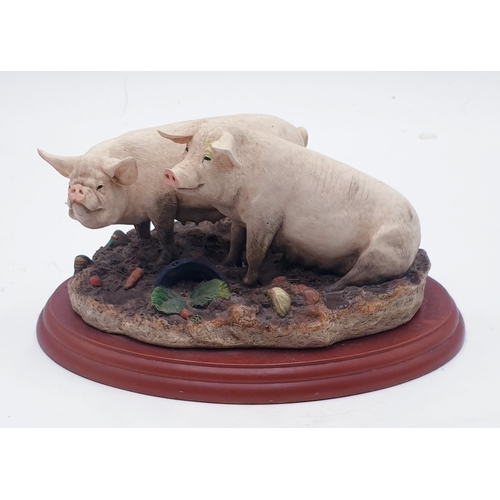 686 - BORDER FINE ARTS Large 21cm x 12cm MODEL OF PIGS (Model No A0453) 