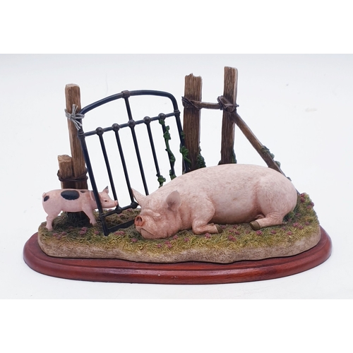 688 - BORDER FINE ARTS Large 21 cm x 11 cm MODEL OF PIG And PIGLETS (Model No A3705) 