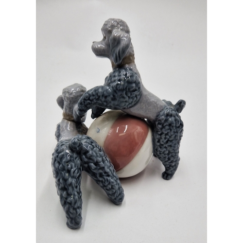 539 - LLADRO PORCELAIN 13cm x 12cm MODEL OF TWO POODLES AT PLAY  (Model No 1258) 