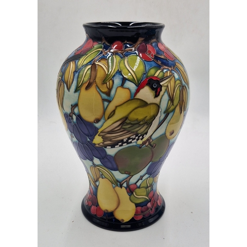 644 - MOORCROFT Extra Large 30cm x 12cm x 12cm VASE (Shape No 65/12) 