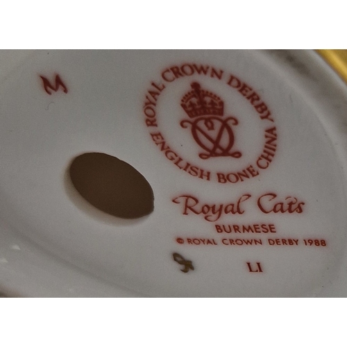 730 - ROYAL CROWN DERBY CHINA Large ____cm MODEL ROYAL 'ROYAL BERMESE' CAT