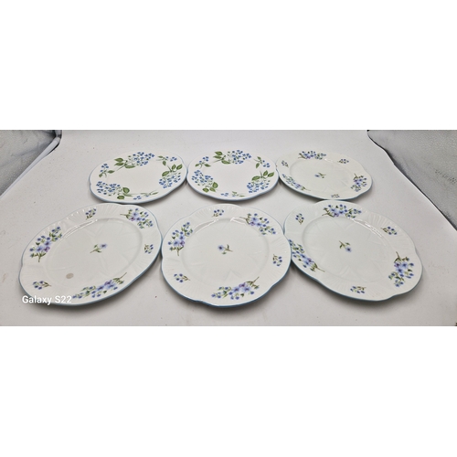 616 - SHELLEY CHINA 20cm Dia SIDE PLATES (6)