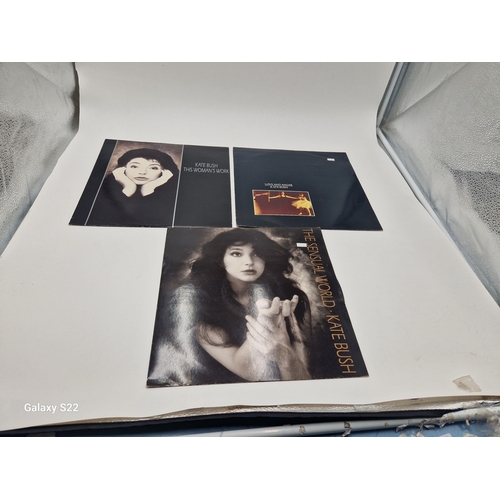 833 - KATE BUSH VINYL 12 INCHES (3)
THIS WOMANS WORK. LOVE AND ANGER. THE SENSUAL WORLD. THE VINYL RANGES ... 