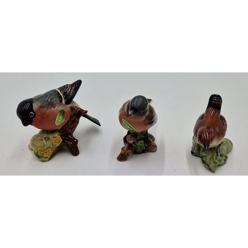 Lot 20        