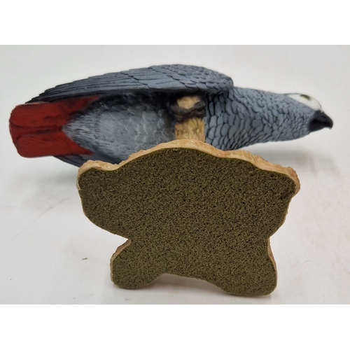 40 - NORTH LIGHT @ WADE Large 20cm x 16cm MODEL OF AN AFRICAN GREY PARROT