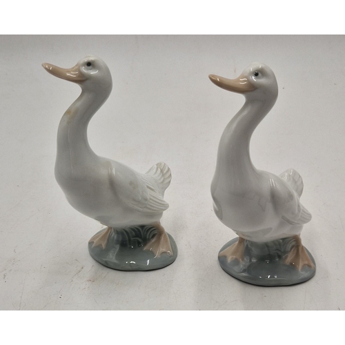 Lot 26        