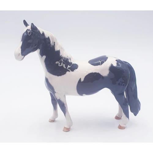 421 - BESWICK MODEL OF A PINTO PONY (Piebald-- Gloss Black/White Colourway) Model No 1373 1972-Unknown Des... 