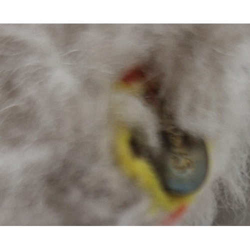 STEIFF WHITE MONKEY (Button In Ear). (Steiff was founded in 1880 by ...