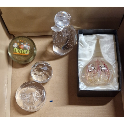 Lot 45        