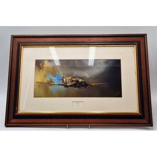 202 - FRAMED & GLAZED Extra Large 52cm x 34cm PRINT 