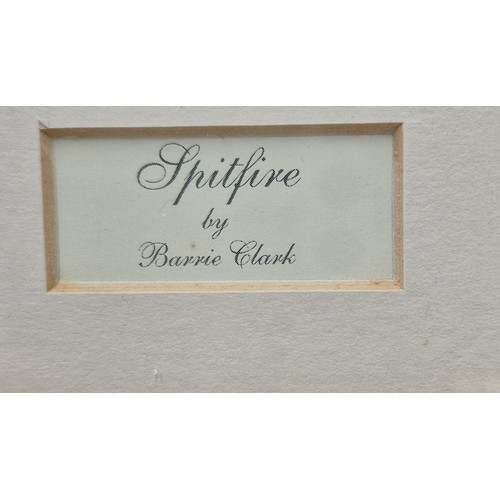 202 - FRAMED & GLAZED Extra Large 52cm x 34cm PRINT 