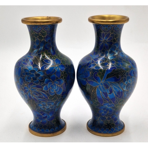 Lot 54        