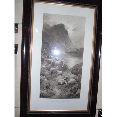 314 - A well framed Victorian engraving 