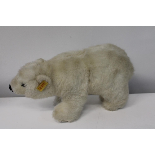 26 - A vintage Steiff Polar bear. lengh 38cm