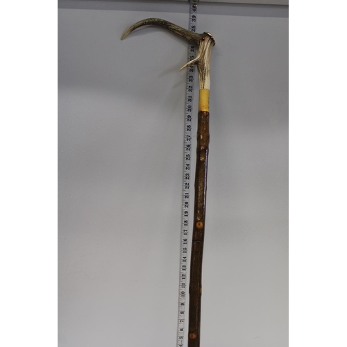 112 - A vintage horn handled walking stick. Postage unavailable