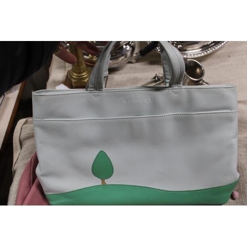 35 - A Radley handbag with dust cover