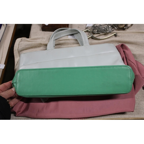 35 - A Radley handbag with dust cover