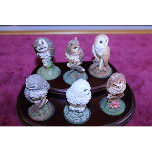 133 - Six assorted Royal Doulton Owl figurines on a wooden stand