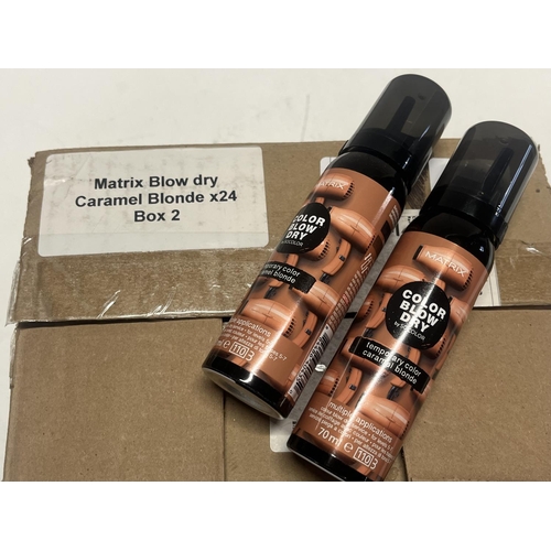 123 - Twenty four new bottles of Matrix colour blow dry sprays