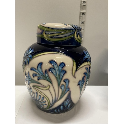 115 - A boxed limited edition Moorcroft Midnight Blue ginger jar 2002 by P Gibson h16cm