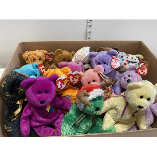 67 - Fifteen TY beanie babies