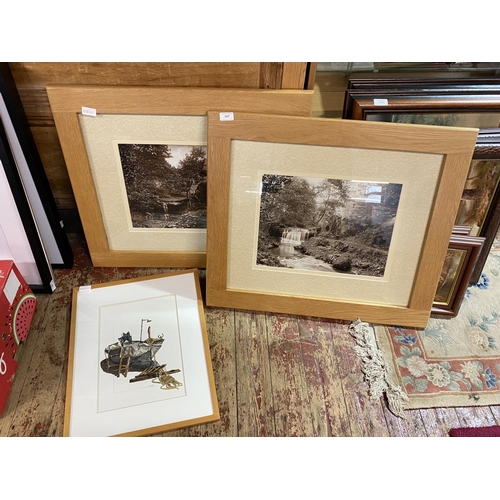 Lot 35        