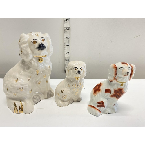 Lot 15        