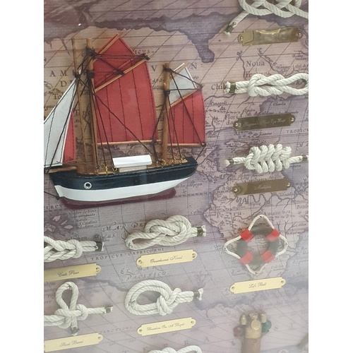 191 - A impressive nautical cased display including examples of nautical knots etc 83x64cm