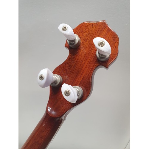 181 - A Richwood RBJ-705 banjo with stand, shipping unavailable