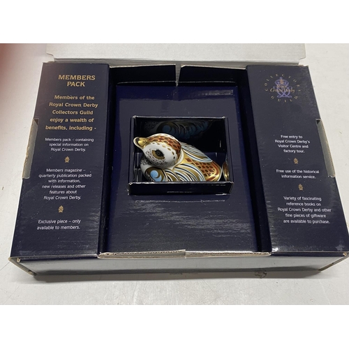 83 - A boxed Royal Crown Derby Members paperweight 'Collectors Guild Duckling' with gold stopper