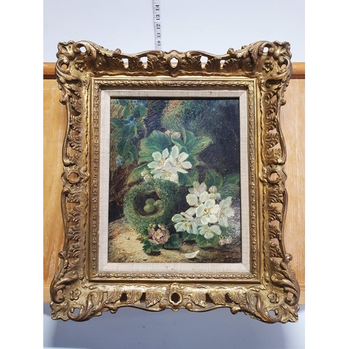 13 - A Oliver Clare (1853-1927) oil on board depicting still life study of fauna and birds nest signed to... 