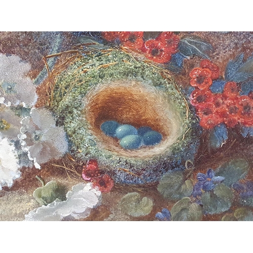 21 - A Vincent Clare (1855-1930) oil on canvas depicting still life study of fauna and birds nest signed ... 