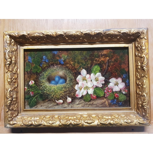 23 - A George Clare (1835-1890) oil on canvas depicting still life study of fauna and birds nest signed t... 