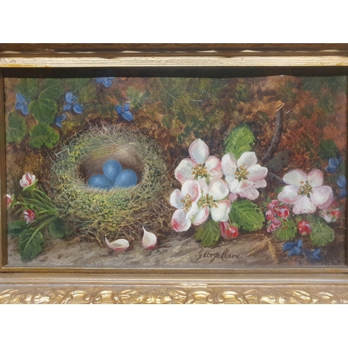 23 - A George Clare (1835-1890) oil on canvas depicting still life study of fauna and birds nest signed t... 