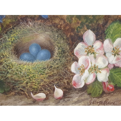 23 - A George Clare (1835-1890) oil on canvas depicting still life study of fauna and birds nest signed t... 