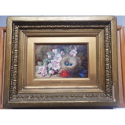 24 - A George Clare (1835-1890) oil on canvas depicting still life study of fauna and birds nest signed t... 