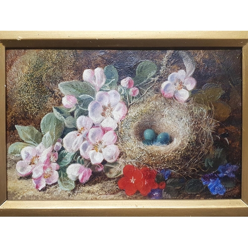 24 - A George Clare (1835-1890) oil on canvas depicting still life study of fauna and birds nest signed t... 